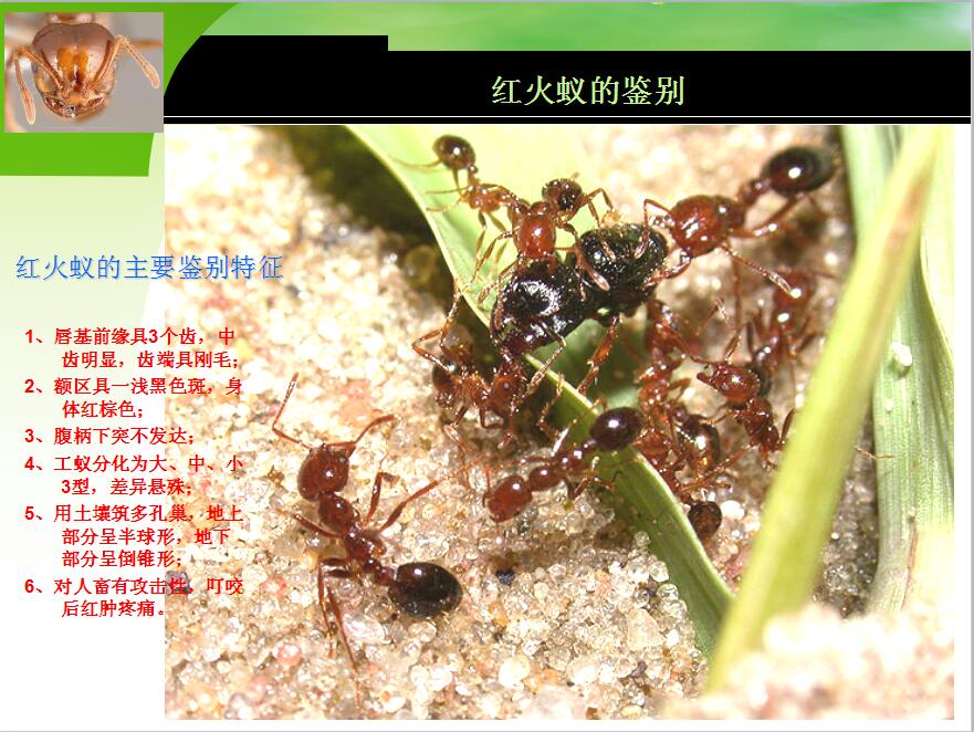 1621583821757682.jpg 微信图片_20210521155413.jpg