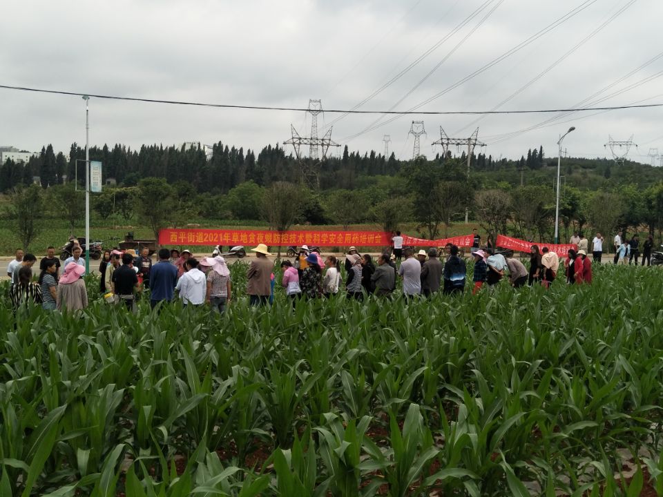 培训2.jpg