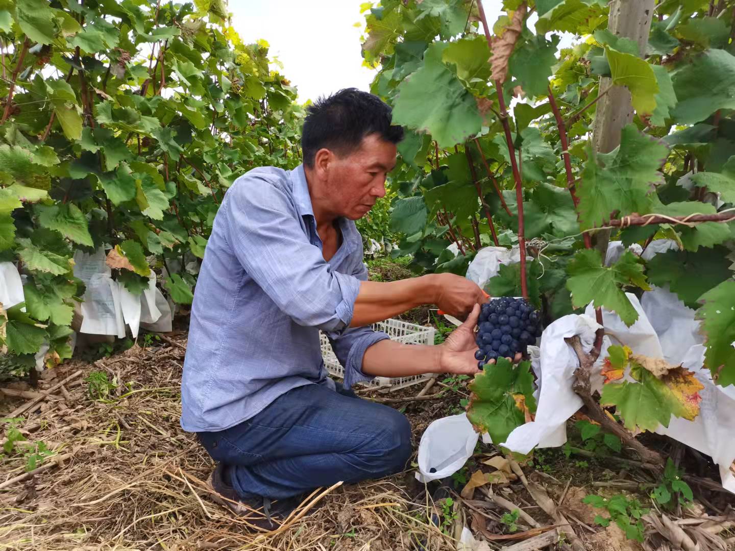 微信图片_20210915165306.jpg