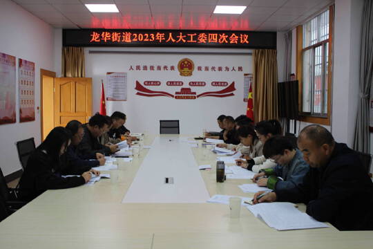 沾益区龙华街道人大工委围绕十项民生实事开展会前视察1.jpg