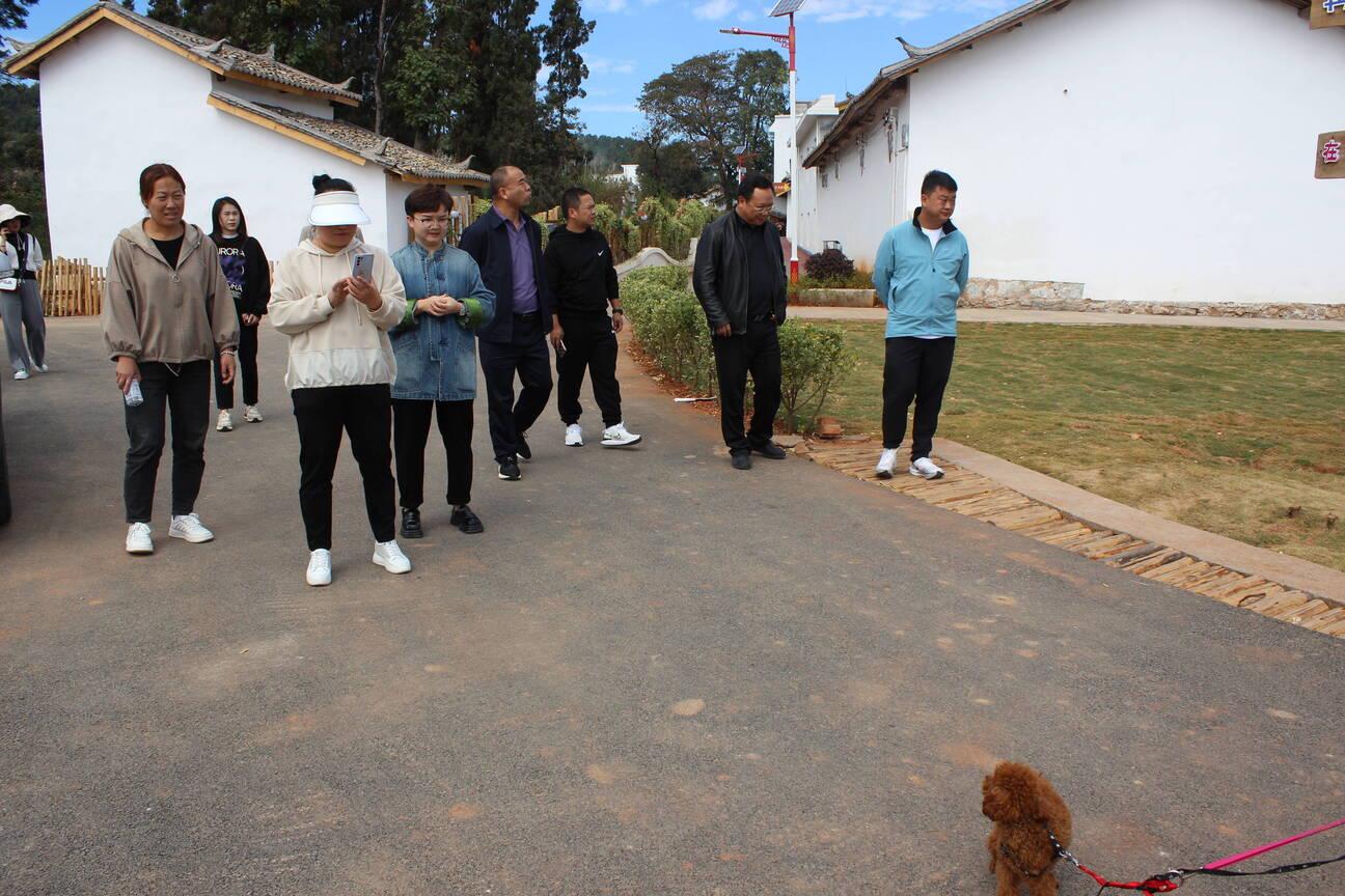 沾益区龙华街道人大工委围绕十项民生实事开展会前视察2.jpg