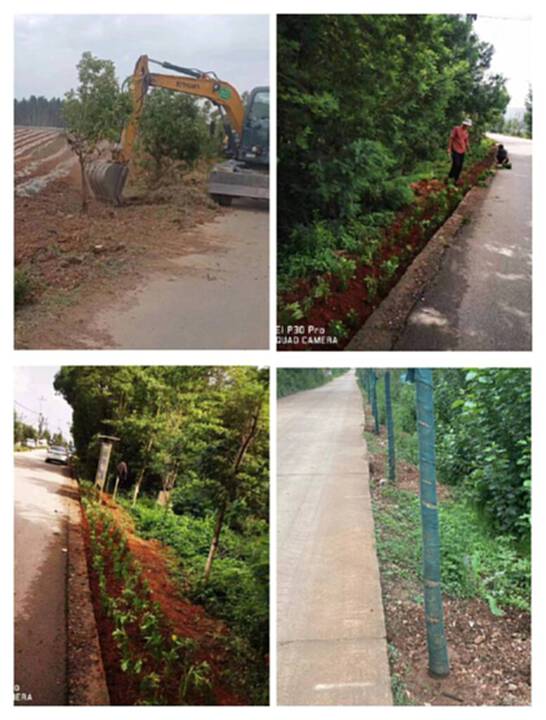沾益区龙华街道以绿美公路建设助力乡村振兴1.jpg