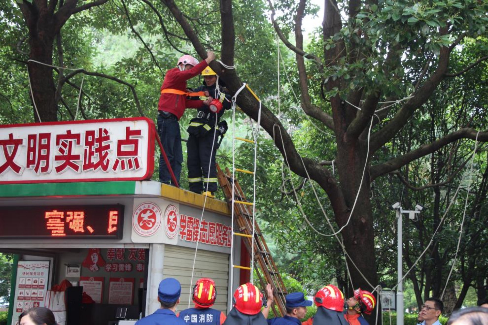 图片12.jpg